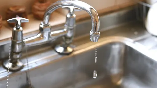 A single dripping faucet can waste over 3,000 gallons a year.